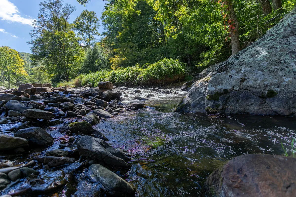 A tranquil scene of flowing water over smooth rocks, surrounded by lush green foliage and dappled sunlight. The setting is peaceful, natural, and encourages exploration and appreciation of the outdoors.