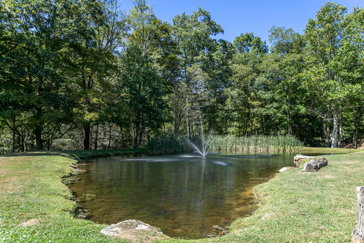 A tranquil pond is the focal point of this image, surrounded by lush trees with a prominent fountain creating gentle ripples on the water. The pond suggests a peaceful retreat ideal for fishing, nature watching, or picnicking, and is set within a pristine natural landscape.